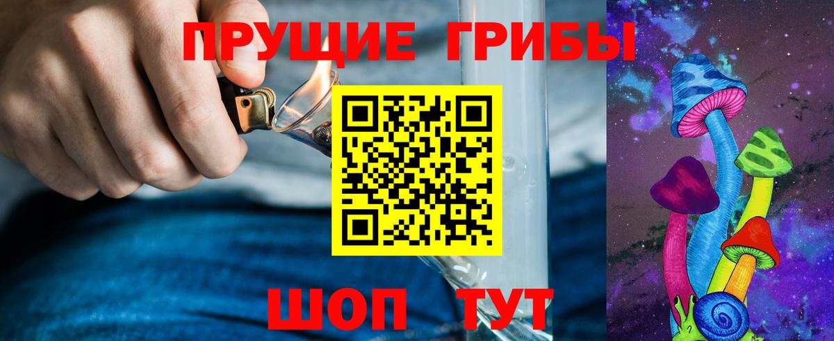 Шали  Галлюциногенные грибы прущие грибы  Вход с VPN 